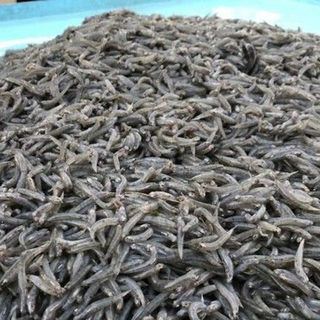 La Réunion : La renommée culinaire de la&nbsp;bichique