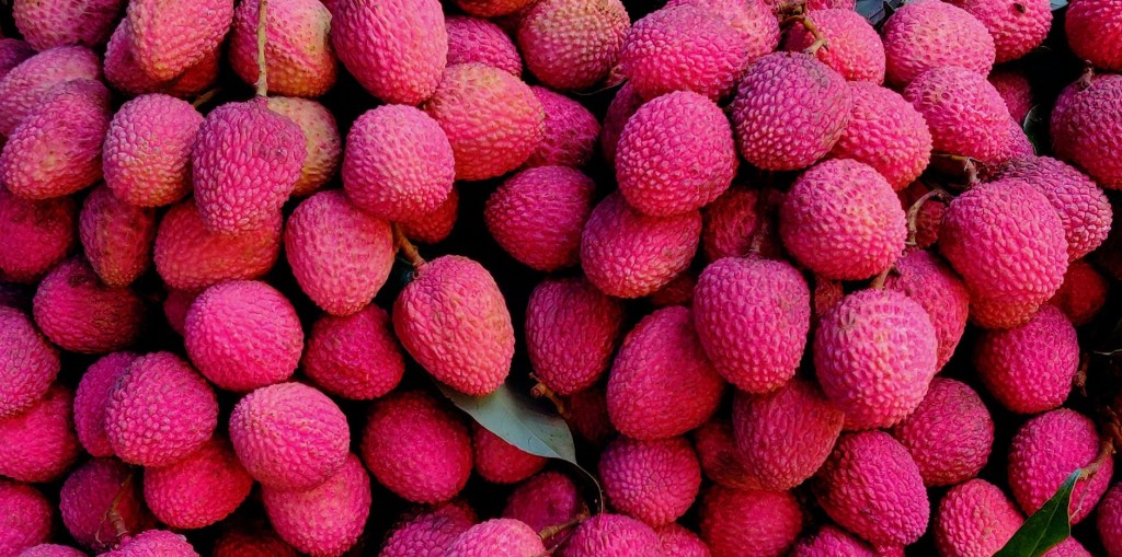 Madagascar : 18 000 tonnes de litchis prévues pour l’exportation cette&nbsp;saison