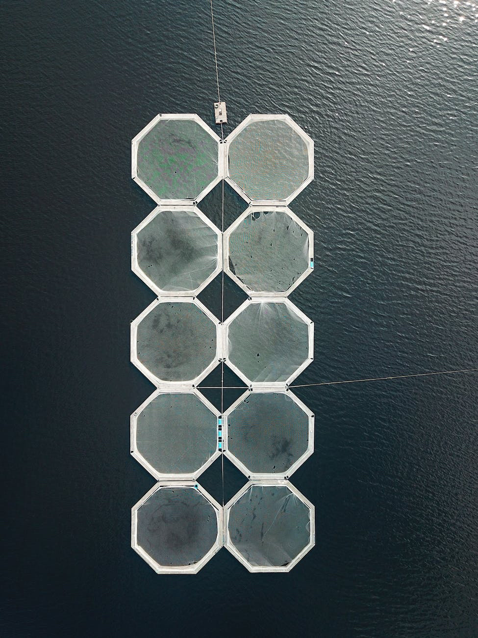 Seychelles : Hausse significative de la pêche semi-industrielle, une croissance de 17% en un&nbsp;an