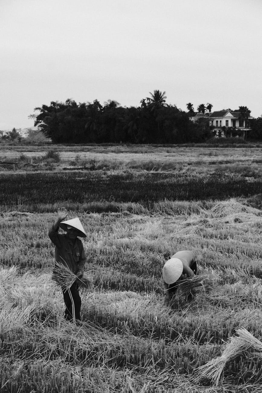 La Réunion : Cyclone Garance – le Département en première ligne – l’Etat attendu au&nbsp;tournant
