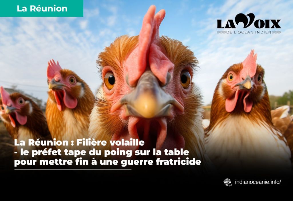 La Réunion :  Filière volaille – le préfet tape du poing sur la table pour mettre fin à une guerre&nbsp;fratricide